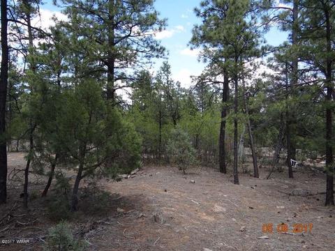 2771 Westfork Ln, Overgaard, AZ 85933 photo 5