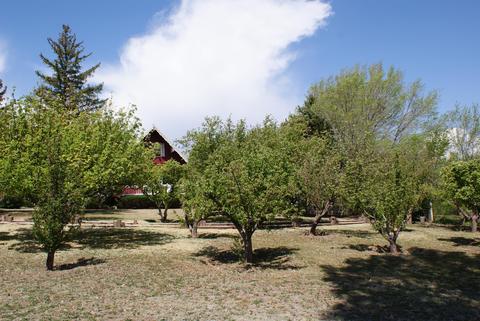 250 W 3rd St, Eagar, AZ 85925 photo 2
