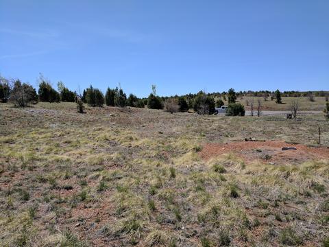 2254 Big Bear Cir, Overgaard, AZ 85933 photo 14