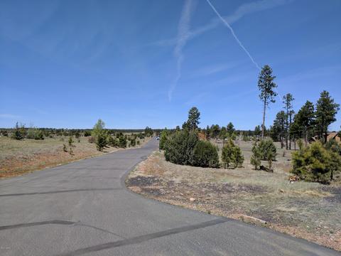 2254 Big Bear Cir, Overgaard, AZ 85933 photo 18
