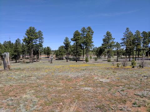 2254 Big Bear Cir, Overgaard, AZ 85933 photo 13