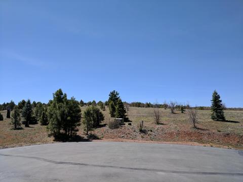 2254 Big Bear Cir, Overgaard, AZ 85933 photo 21
