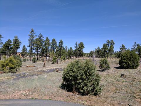 2254 Big Bear Cir, Overgaard, AZ 85933 photo 15