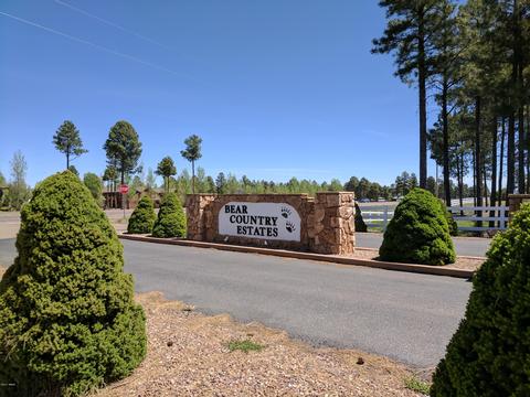 2254 Big Bear Cir, Overgaard, AZ 85933 photo 1