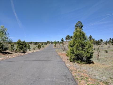 2254 Big Bear Cir, Overgaard, AZ 85933 photo 5