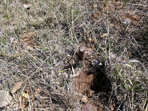 2254 Big Bear Cir, Overgaard, AZ 85933 photo 25
