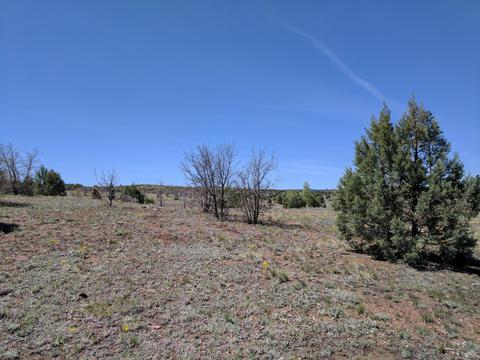 2254 Big Bear Cir, Overgaard, AZ 85933 photo 8