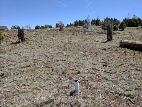 2254 Big Bear Cir, Overgaard, AZ 85933 photo 12