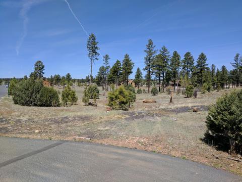 2254 Big Bear Cir, Overgaard, AZ 85933 photo 17