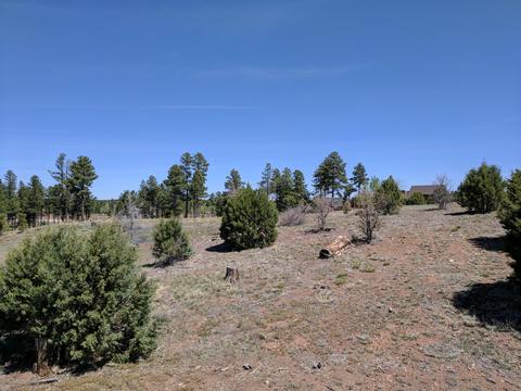 2254 Big Bear Cir, Overgaard, AZ 85933 photo 16