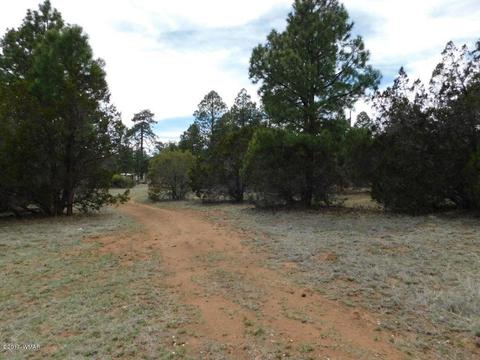 3318 Ox Bow Bnd, Overgaard, AZ 85933 photo 8