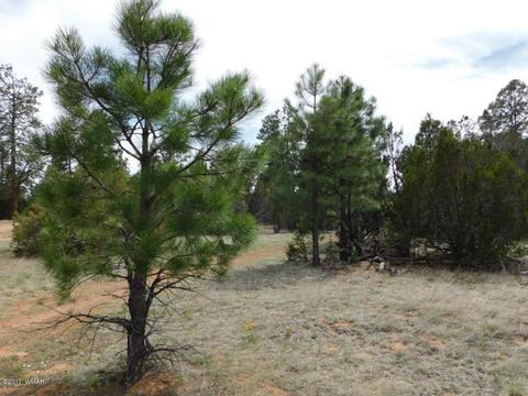 3318 Ox Bow Bnd, Overgaard, AZ 85933 photo 4