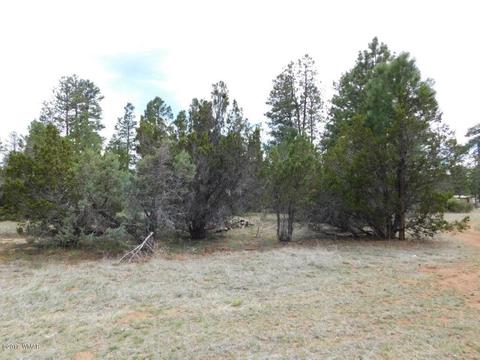 3318 Ox Bow Bnd, Overgaard, AZ 85933 photo 7