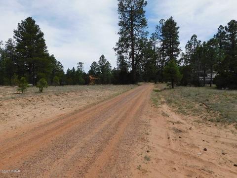 3318 Ox Bow Bnd, Overgaard, AZ 85933 photo 11