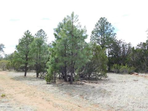 3318 Ox Bow Bnd, Overgaard, AZ 85933 photo 2