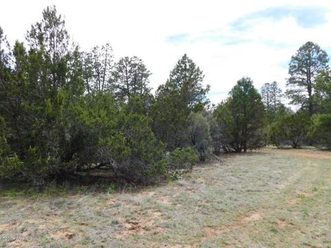 3318 Ox Bow Bnd, Overgaard, AZ 85933 photo 10