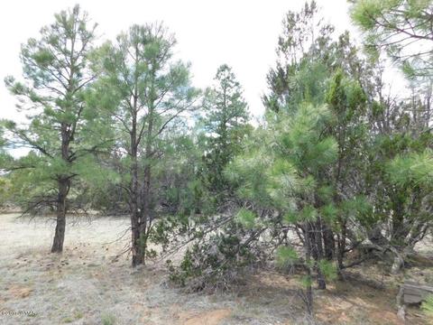 3318 Ox Bow Bnd, Overgaard, AZ 85933 photo 13