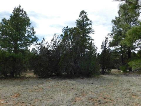 3318 Ox Bow Bnd, Overgaard, AZ 85933 photo 6