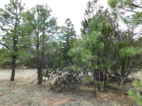 3318 Ox Bow Bnd, Overgaard, AZ 85933 photo 1