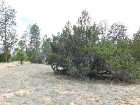 3318 Ox Bow Bnd, Overgaard, AZ 85933 photo 9