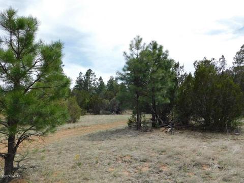 3318 Ox Bow Bnd, Overgaard, AZ 85933 photo 5