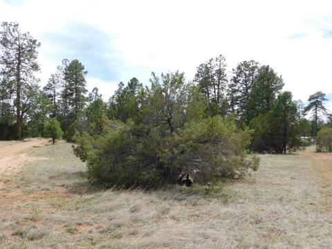 3318 Ox Bow Bnd, Overgaard, AZ 85933 photo 3