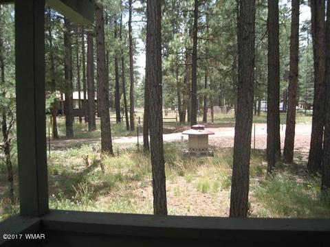 2068 Vagabond Ct, Overgaard, AZ 85933 photo 22