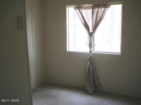 2068 Vagabond Ct, Overgaard, AZ 85933 photo 16