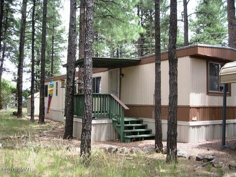 2068 Vagabond Ct, Overgaard, AZ 85933 photo 3