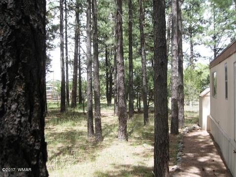2068 Vagabond Ct, Overgaard, AZ 85933 photo 23