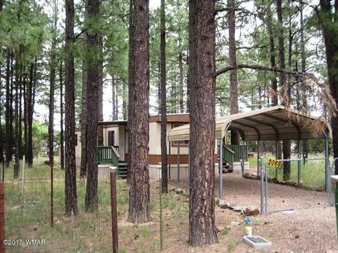 2068 Vagabond Ct, Overgaard, AZ 85933 photo 2