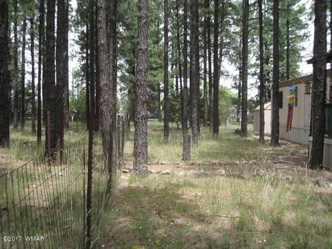 2068 Vagabond Ct, Overgaard, AZ 85933 photo 21