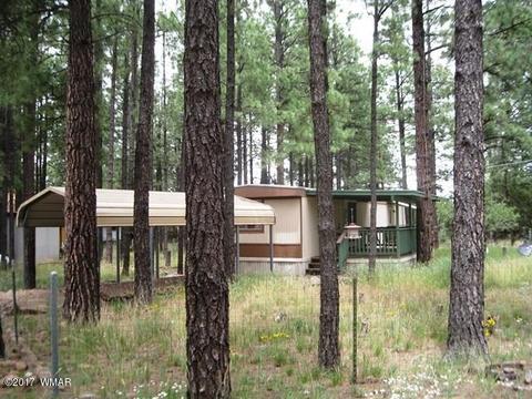 2068 Vagabond Ct, Overgaard, AZ 85933 photo 5