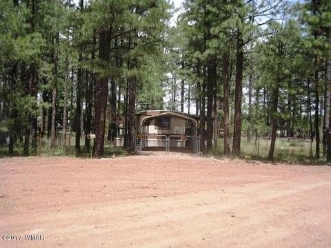 2068 Vagabond Ct, Overgaard, AZ 85933 photo 4
