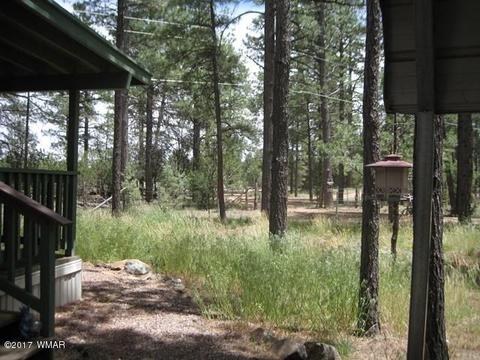 2068 Vagabond Ct, Overgaard, AZ 85933 photo 24