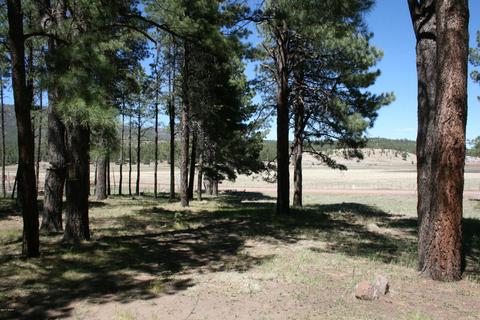 29 Cr 2267, Alpine, AZ 85920 photo 19