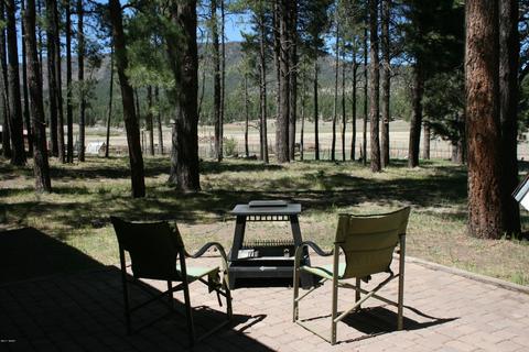 29 Cr 2267, Alpine, AZ 85920 photo 9