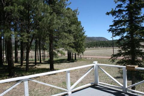 29 Cr 2267, Alpine, AZ 85920 photo 8