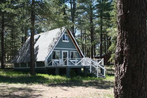 29 Cr 2267, Alpine, AZ 85920 photo 17