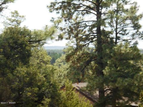 2228 Eagle Ln, Overgaard, AZ 85933 photo 30