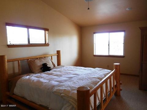 2228 Eagle Ln, Overgaard, AZ 85933 photo 22