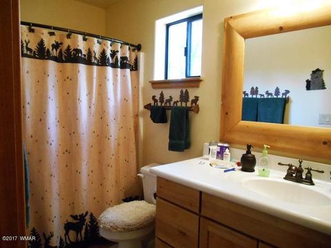 2228 Eagle Ln, Overgaard, AZ 85933 photo 15