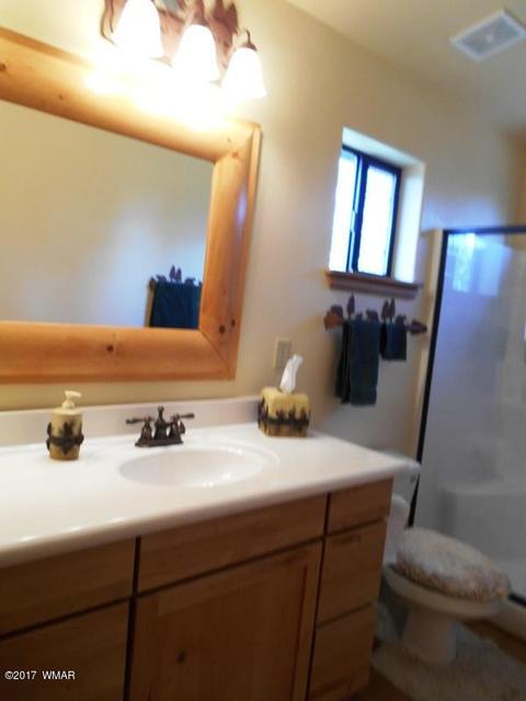 2228 Eagle Ln, Overgaard, AZ 85933 photo 19