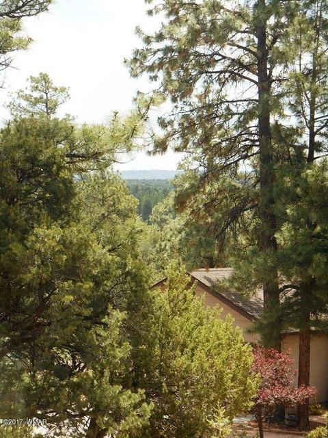 2228 Eagle Ln, Overgaard, AZ 85933 photo 5