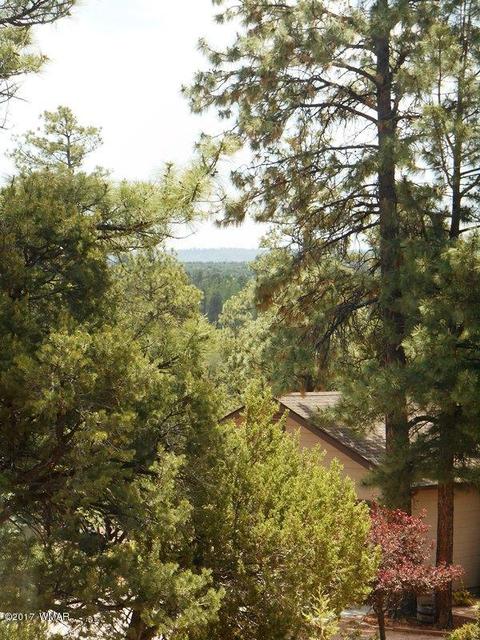 2228 Eagle Ln, Overgaard, AZ 85933 photo 31