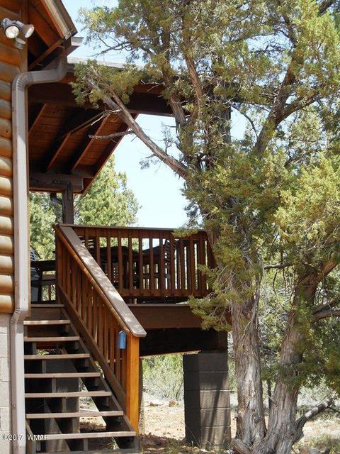 2228 Eagle Ln, Overgaard, AZ 85933 photo 28