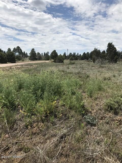 2263 Sitgreaves St, Overgaard, AZ 85933 photo 5