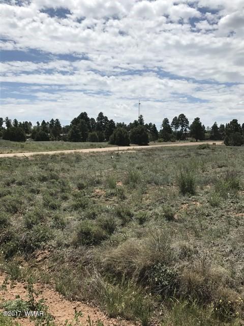 2263 Sitgreaves St, Overgaard, AZ 85933 photo 4