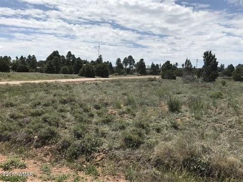 2263 Sitgreaves St, Overgaard, AZ 85933 photo 1