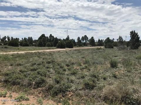 2263 Sitgreaves St, Overgaard, AZ 85933 photo 2